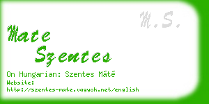 mate szentes business card